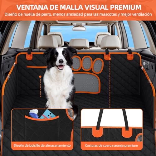 Encuentra la mejor selección de Accesorios para perros para comprar hoy. 26 Imagen adicional