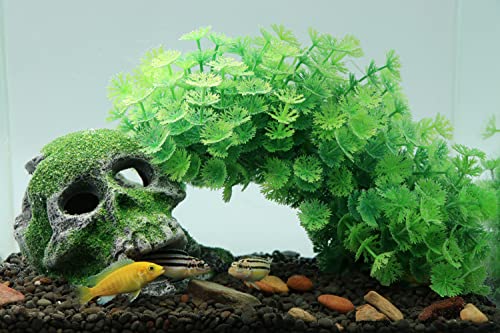 Image of AQUA KT Aquarium Landscape Head Skeleton Skull Rock Fish Hiding Place Cichlid Cave for Gold Betta Fish Tank Decoration Freshwater or Marine Aquariums