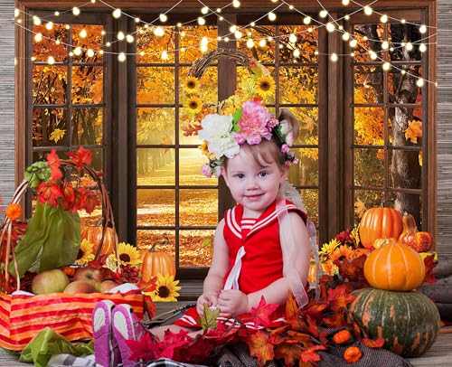 Fond studio photo forêt automne lavable pour portrait - 6