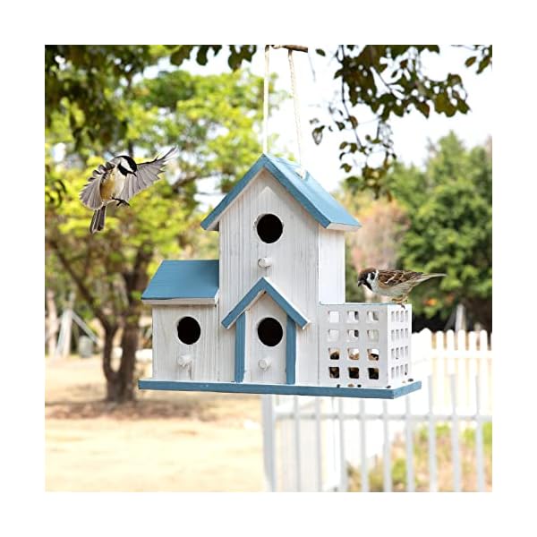 Bird Feeder&Bird House,Bird Houses for Outside,Wooden Bird Feeders/Houses for Outside Hanging,3 Hole Handmade Natural Large Bird House for Backyard/Courtyard/Patio Decor,Hummingbird House for Outside