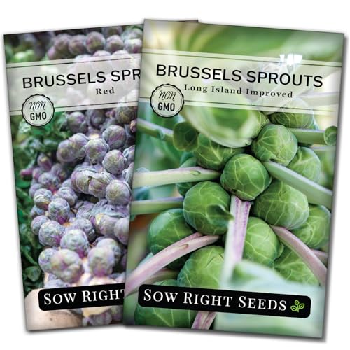 Sow Right Seeds - Brussels Sprouts Seeds for Planting - Collection of Long Island Improved and Red...