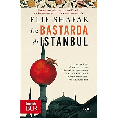 La bastarda di Istanbul