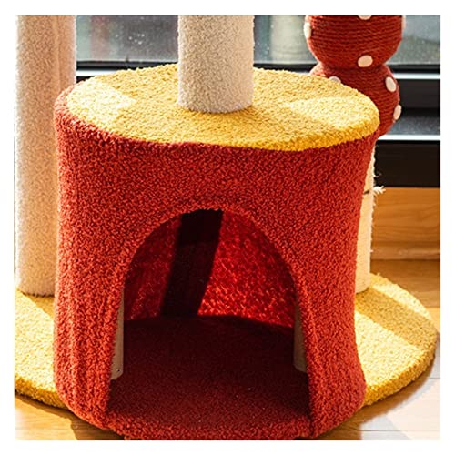 Arbre à chat avec litière intégrée et capsule transparente en bois - 4