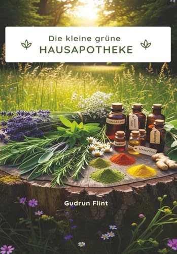 Die kleine grüne Hausapotheke: selbst hergestellt aus Feld, Wald und Garten