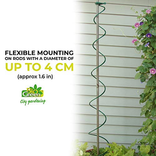 Bio Green Productos de Cultivo zarcillos, Negro: Amazon.es: Jardín