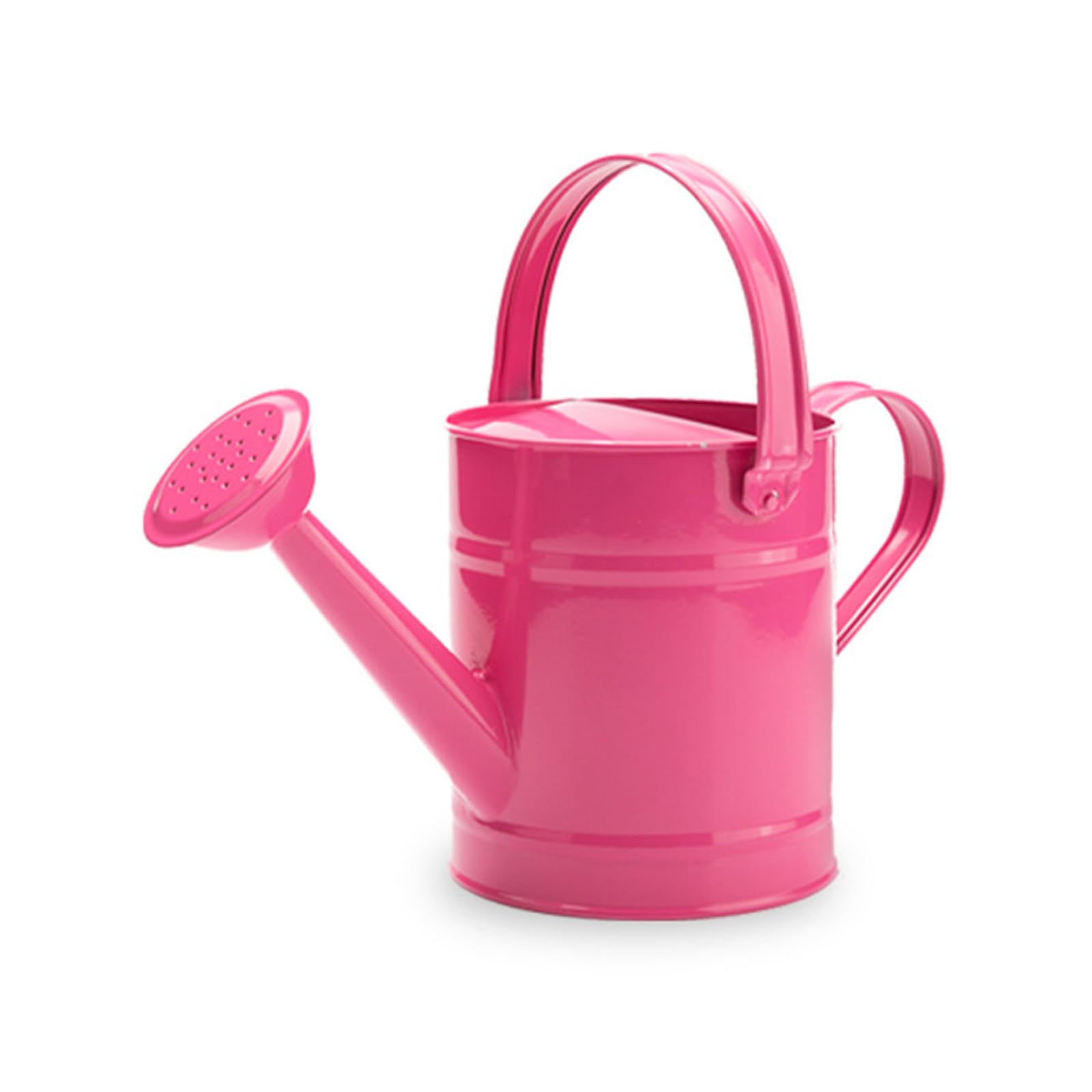carotoe 1.5L Watering Can Indoor for House Plant Small Watering Can with Long Spout Flower Model Sprinkler Indoor Plant Ergonomic Handle Metal Pots