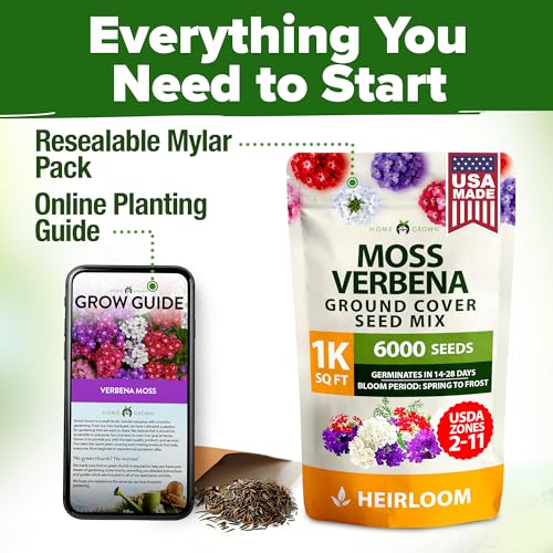 Image of HOME GROWN Verbena Moss Seeds - 6000+ Perennial Flower Seeds for Ground Cover - Heat-Tolerant Plant Seed for Outdoor Gardening, Walkways & Erosion Control - Attracts Pollinators (Verbena Tenuisecta)