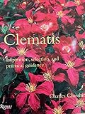 Clematis: Inspiration, Selection, and Practical Guidance