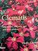 Clematis: Inspiration, Selection, and Practical Guidance