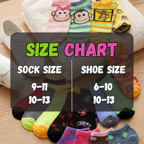 Image of Tipi Toe Women's 20 Pack Colorful Low Cut Socks - Lightweight, Breathable Design for All-Day Comfort Sizes 9-11 /10-13