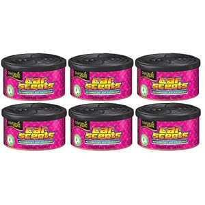 (6 Pack) California Scents Coronado Cherry Car/Home Air Freshener