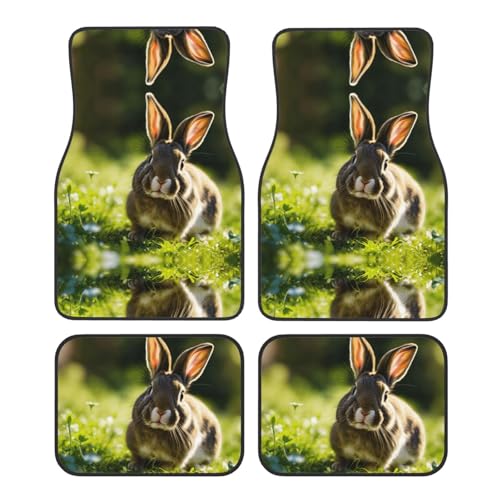 Tapis de voiture motif lapins : la solution universelle contre l'usure des moquettes auto