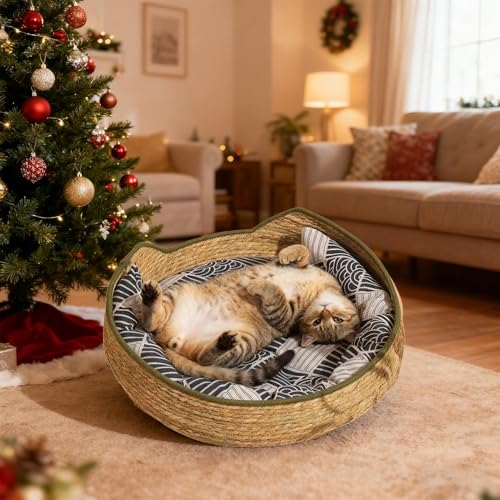 Cama tejida para gatos y cesta lavable de interior 3
