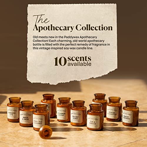 Paddywax Candles Apg801 Apothecary Collection Soy Wax Blend Candle In Glass Jar, Medium, 8 Ounce, Vetiver And Cardamom #TOP3