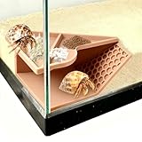 Hollima Hermit Crab Tunnel Cave Corner, Hermit Underground Crab Climbing Tank Accessories Decor Hide, Hermit Crab Lizard Chameleon Hamster Decoration Accessories Supplies Toys Ornaments-Sandy Color