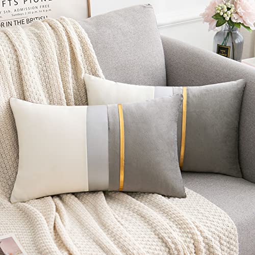 Serento Gris Taie d'oreiller en Velours 30x50cm pour Salon Canapé，Lot de 2 Super Doux Longue...