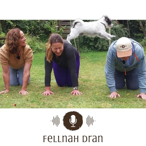 #22: Spielen mit Hunden - mit Kate Kitchenham