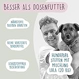 Fidelis - Gekochtes Frische-Menü Lachs für Hunde 10 x 500g - Premium Hunde Futter mit 70% Fischanteil und frischen Zutaten - Proteinhaltiges Hundefutter nass Nicht extrudiert - Zucker- & Getreidefrei