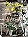 Decorating with Plants: The Art of Using Plants to Transform Your Home
