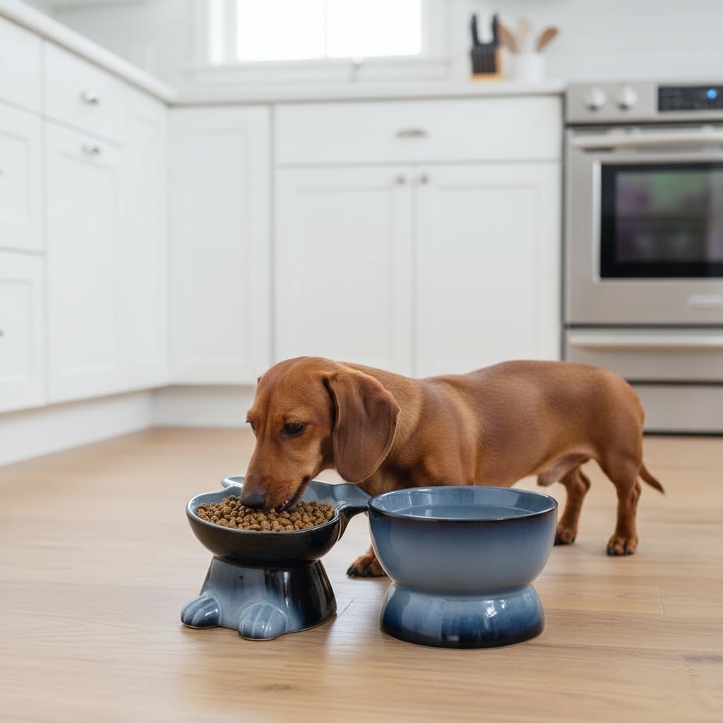 Nihow Futter- und Wassernapf für Hunde, erhöhter Keramiknapf für mittelgroße und kleine Hunde, lebensmittelecht, erhöhter Welpennapf, Grauer Futternapf zum Schutz der Wirbelsäule des Haustiers