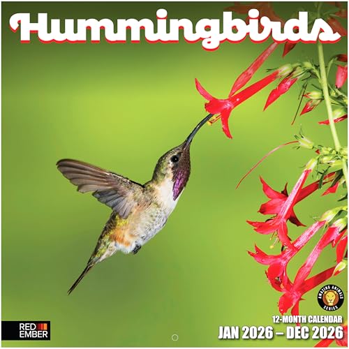RED EMBER Hummingbirds 2026 Wall Calendar 12 Month | 12" x 24" Open | Thick & Sturdy Paper | Holiday Gift | Bird Calendar 2026