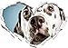 Stil.Zeit Dolce a Forma di Cuore Dalmata nel Formato Adesivo Aspetto, Parete o Una Porta 3D: 62x43.5cm, autoadesivi della Parete, Decalcomanie della Parete, Decorazione della Parete
