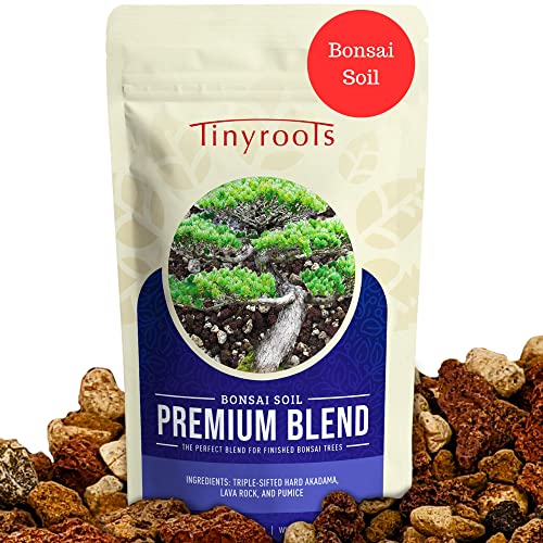 Top 10 Best Soil For Ficus Ginseng Bonsai​