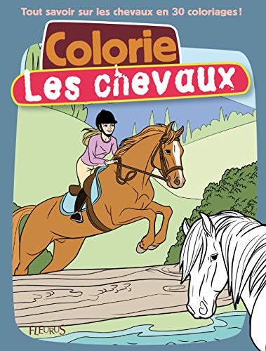  La sorcellerie : Envoûtements, désenvoûtements Livre eBook France
