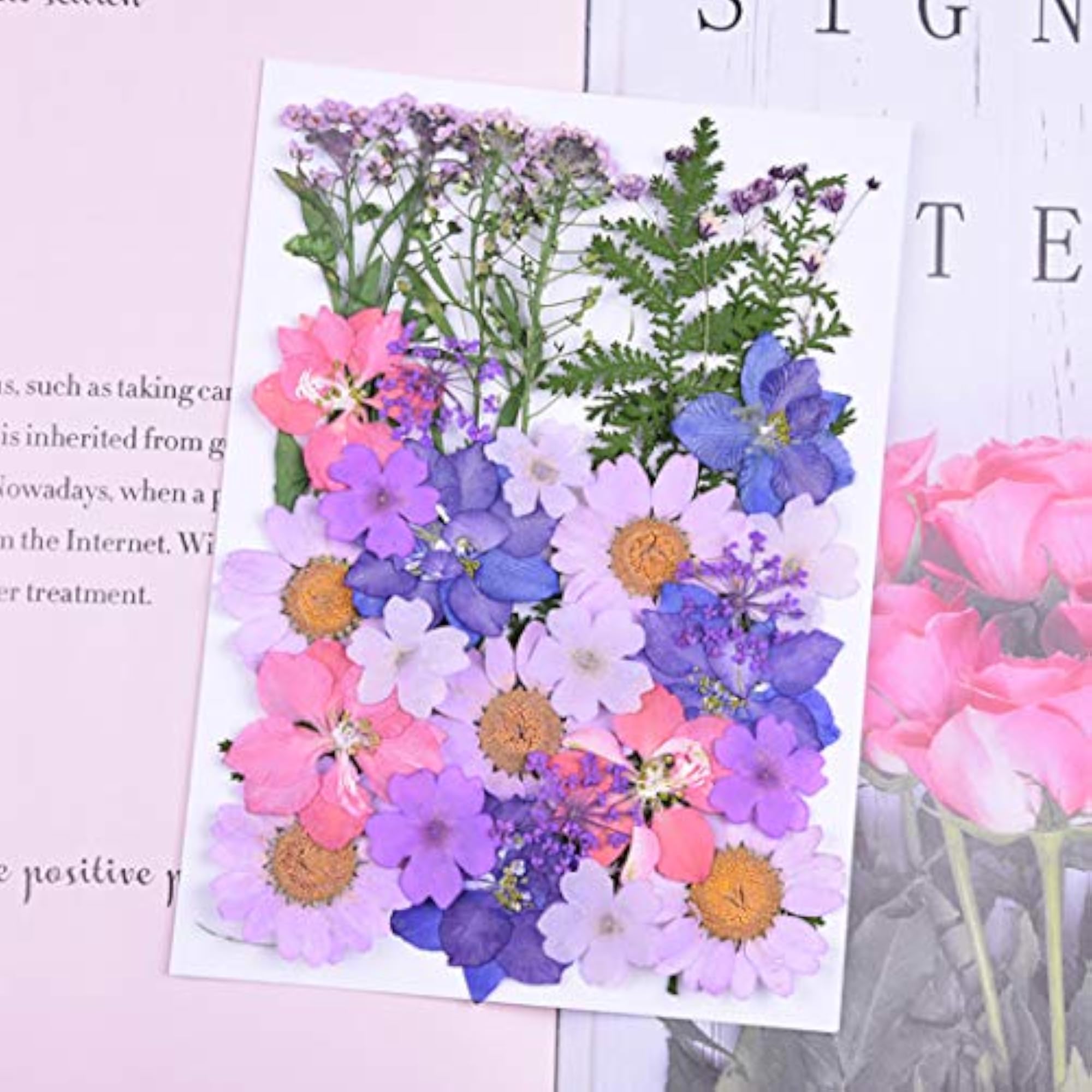 34PCS Dried Flower Multifunctional Decorative Kit for Crafts