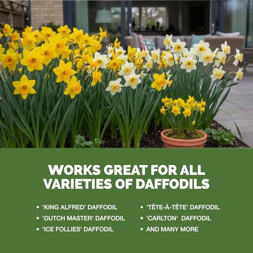 Fertilizante Líquido para Plantas Daffodil 8 oz miniatura 5