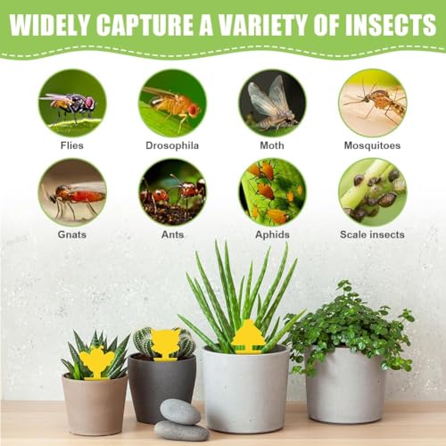 Flintronic Fruit Fly Traps,66 Pack Yellow Double-sided Fungus Gnat Sticky Catcher, Double-Sided Fly Catchers - Image 3