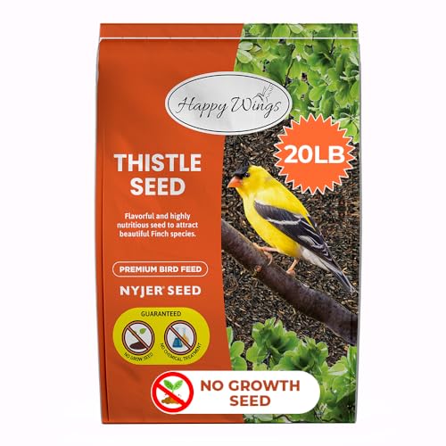 10 Best NonGerminating Bird Seeds to Keep Your Yard Clean and Bird