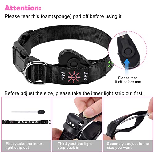 AUAUY Hundehalsband Leuchtend, LED Leuchthalsband Hunde Halsband USB Wiederaufladbar Wasserdichtes für Kleine Mittlere Große Haustier Einstellbar Sicherheit Kragen mit 6 Farben (Colorful-S)