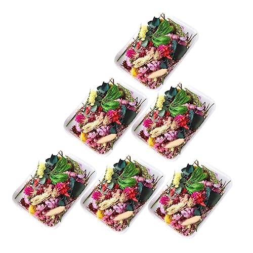 Flores secas naturales para manualidades DIY, ecoamigables miniatura 1