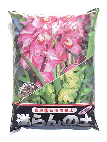 m̔|{y PTL m VrW[ m Ȃǂ