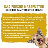 Bosch Freshe Schnauze, Huhn mit Kürbis und Brokkoli 8 x 250 g, Schonend Dampfgegartes Nassfutter für Hunde, Vollwertiges Alleinfuttermittel mit hohem Fleischgehalt, 8 x 250 g Hundenassfutter