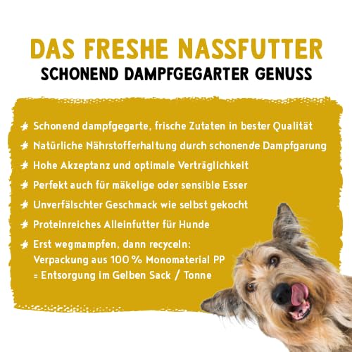 Bosch Freshe Schnauze, Huhn mit Kürbis und Brokkoli 1 x 250 g, Schonend Dampfgegartes Nassfutter für Hunde, Vollwertiges Alleinfuttermittel mit hohem Fleischgehalt, 250 g Hundenassfutter