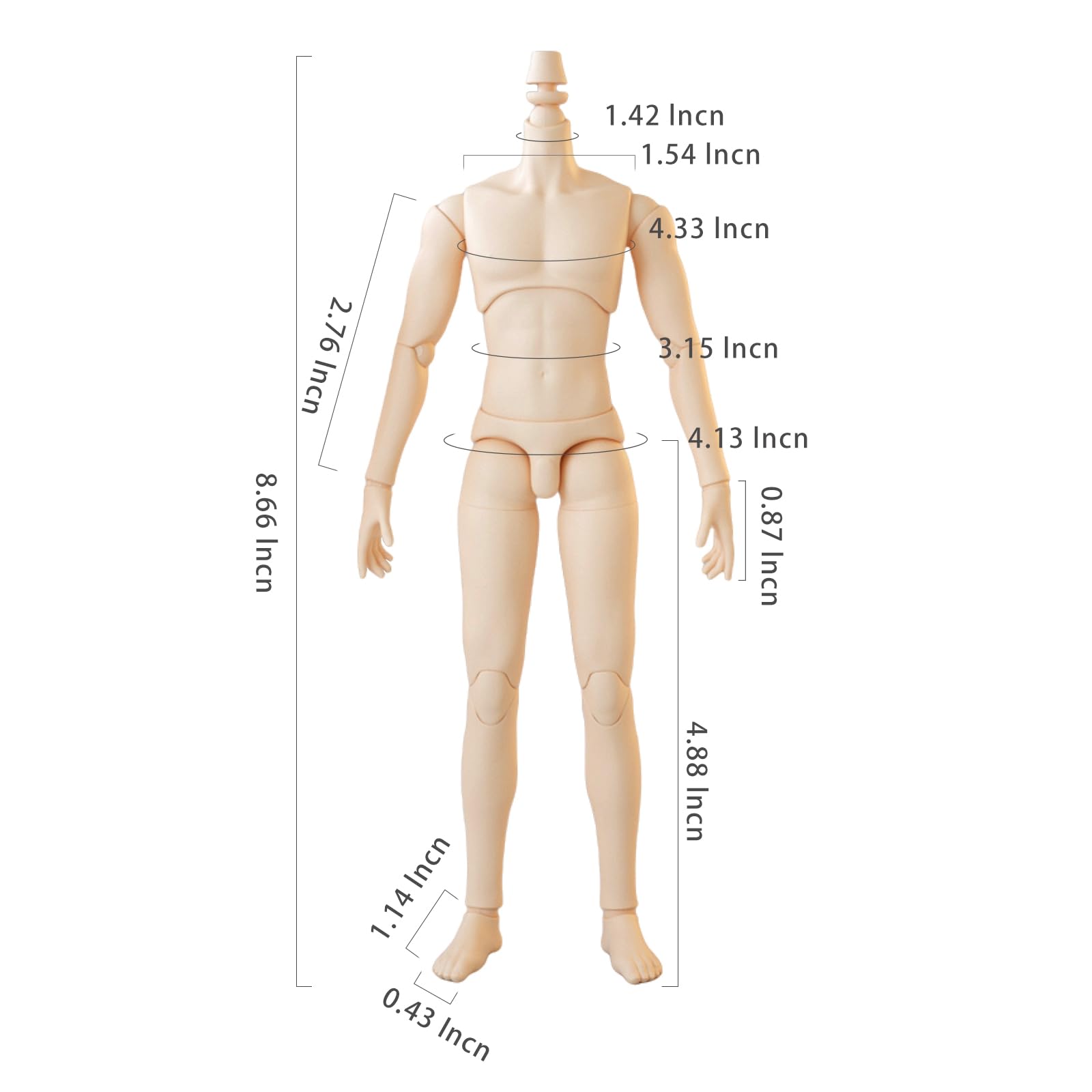 YMY23 25 Male Doll Body Compatible with Ob22 OB24 GSC BJD Doll