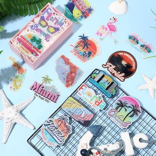 Imanes decorativos para refrigerador set 30 piezas Florida miniatura 6