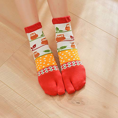 Image of Artfasion Women Flip Flop Socks - Tabi Ankle Sock Colorful Two Toe Finger Running Socks for Womens Girls