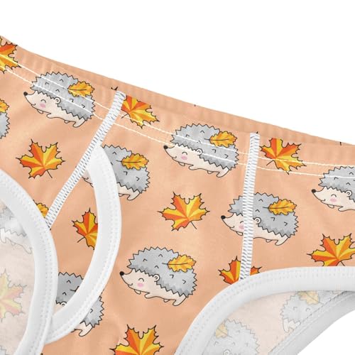 Cotton Little Boys Briefs Hedgehogs Maple Leaves Soft Toddler Underwear4