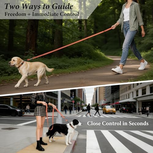 APakBak Double Handle Dog Leash 6 FT Reflective 2 Handle Traffic Lead with Padded Grip, Heavy Duty Nylon Leash for Walking Training, for Small Medium Large Dogs, Orange