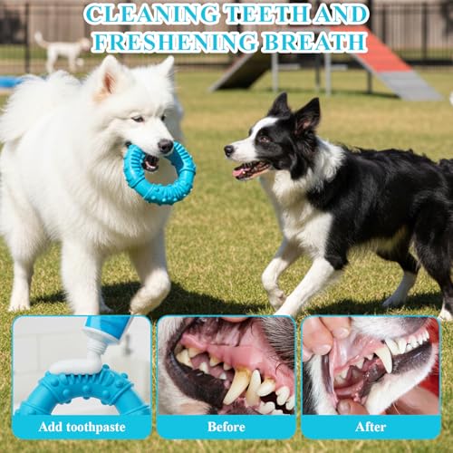 PDirat Hundespielzeug Unzerstörbar, Spielzeug Hund Unzerstörbar, Robustes Kauspielzeug, Natürlicher Gummi Hundespielzeug Zur Zahnpflege und Stressabbau für Kleine, Mittlere & Große Hunde(13cm)