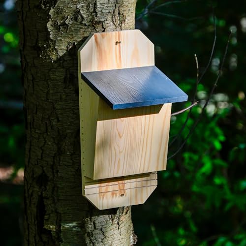 dobar® Green Label Fledermauskasten Microchioptera aus Holz, unbehandelt - Massive Nisthöhle für Fledermäuse zum Aufhängen - Fledermaus-Unterschlupf - Anthrazit