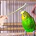 Abaodam 6 pcs Handle Bird Cage Cleaning Brush Pet Cage Cleaning Accessory Parrot Bird Droppings Wire Brush Scraper Tool Supplies