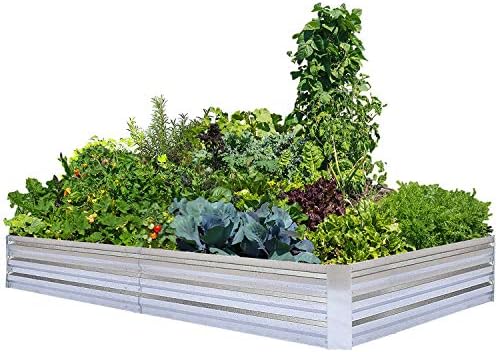 Vegetables to Plant Together in Raised Beds for a Thriving Garden 6 FOYUEE Galvanized Raised Garden Beds for Vegetables Large Metal Planter Box Steel Kit Flower Herb, 8x4x1ft