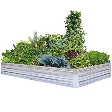 Vegetables to Plant Together in Raised Beds for a Thriving Garden 3 vegetables to plant together in raised beds