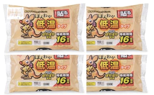 ۂۂƑ ɍœK ق킩ቷJC \ M[ 10 XIWiJ[ht (4)