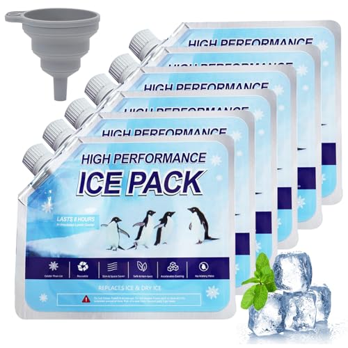 6 Piezas Acumuladores de Frio, Hielos para Nevera Portatil para Bolsa Isotérmica, Nevera y Mochila Frigorífica, Reutilizables, para Viajes y Campamentos para Mantener Alimentos y Bebidas Fríos