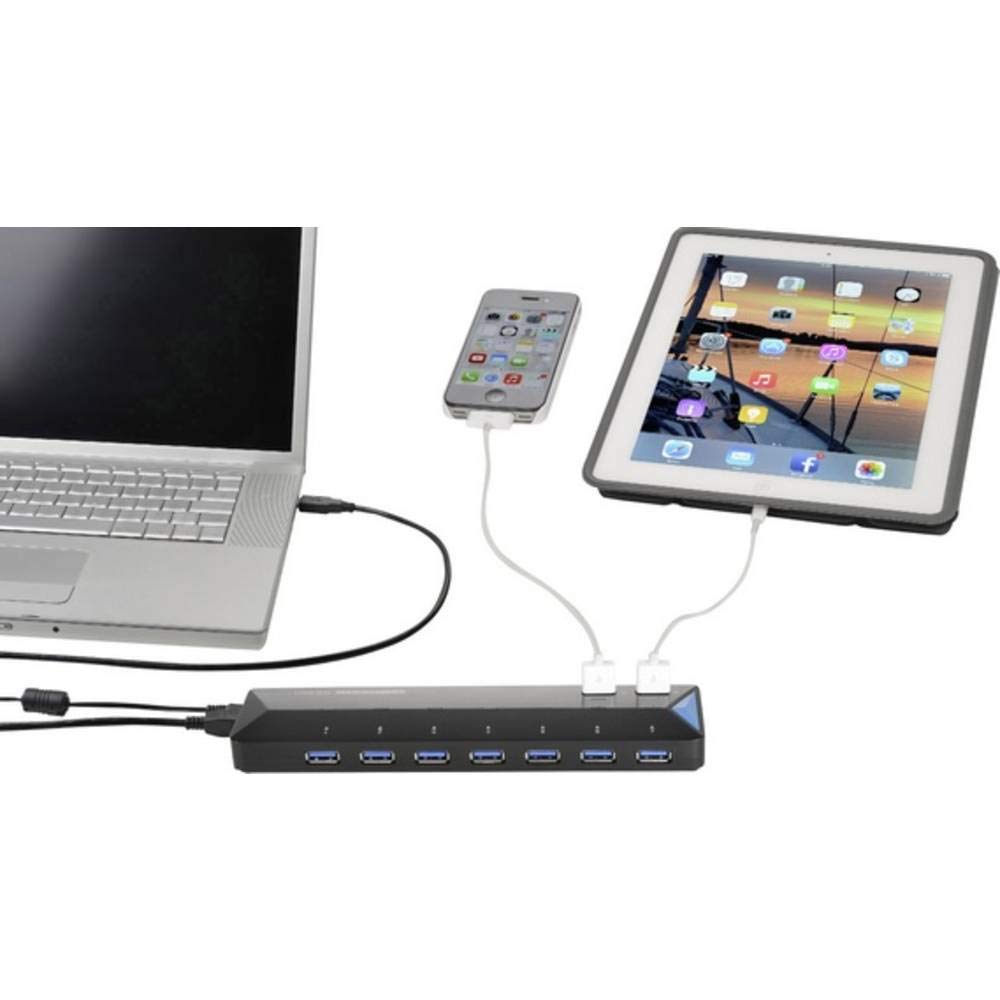 Renkforce 1268678 RF-3806034 DIY